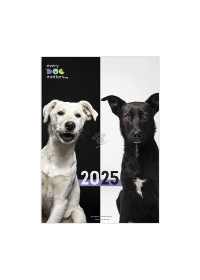 Every Dog Matters - дарителски календар за 2025 година