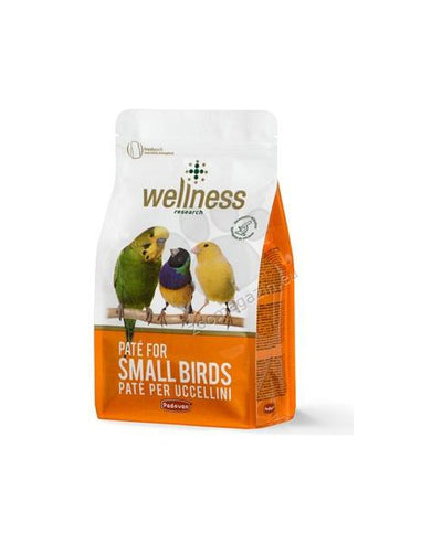 Padovan Wellness Patee for Small Birds - жълто пастончино с яйца 600 гр.