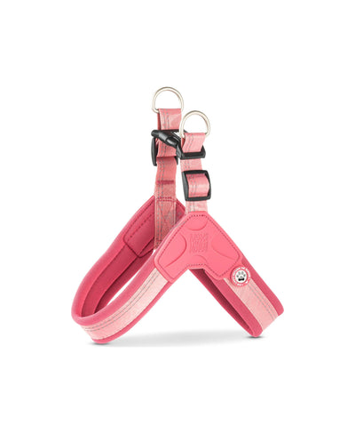 Max Molly Q-Fit Harness Matrix Rose - нагръдник за кучета