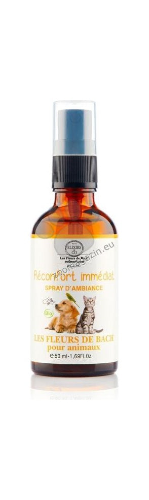 SPRAY Immediate Relief - спрей за стая с незабавен успокояващ ефект 50 мл.