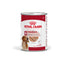 РАЗПРОДАЖБА Royal Canin Medium Adult Muscle Mass Support - консерва за кучета в зряла възраст от средни породи (от 11 до 25кг) - oт 12 месеца до 7 години 410 гр.