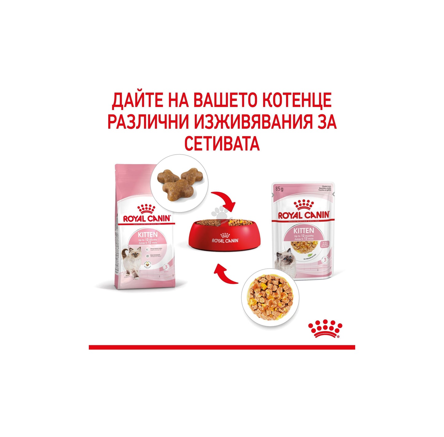 ROYAL CANIN KITTEN in JELLY - за котки, специално за 2-рата фаза на израстване при подрастващи котенца до 12 месеца (малки хапки в желе) 85гр