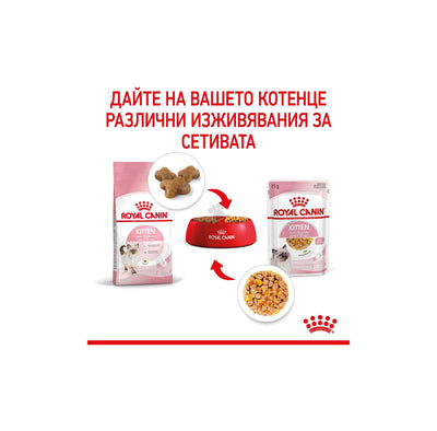 ROYAL CANIN KITTEN in JELLY - за котки, специално за 2-рата фаза на израстване при подрастващи котенца до 12 месеца (малки хапки в желе) 85гр