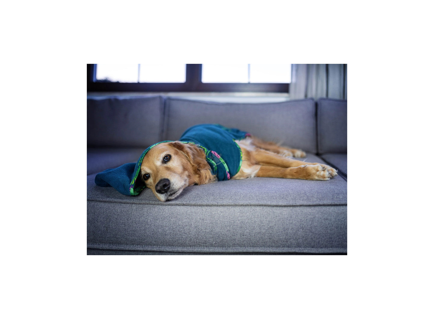 Max Molly Bath Robe Tropical - халат за кучета