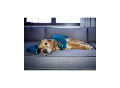 Max Molly Bath Robe Tropical - халат за кучета