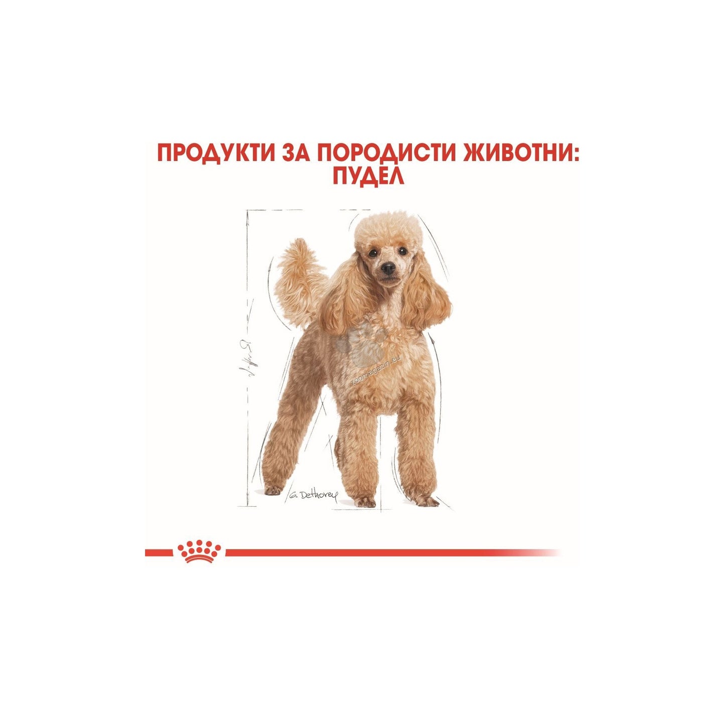 ROYAL CANIN POODLE POUCH - пауч за кучета в зряла и напреднала възраст възраст, порода пудел над 10 месеца 85гр