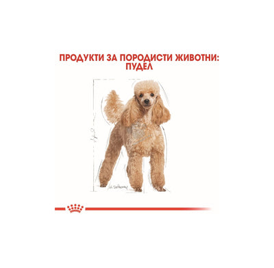 ROYAL CANIN POODLE POUCH - пауч за кучета в зряла и напреднала възраст възраст, порода пудел над 10 месеца 85гр