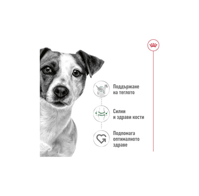 Royal Canin Mini Adult Loaf- Mousse - мус за кучета в зряла възраст от дребни породи (тегло до 10кг) - от 10 месеца до 8 години 195 гр.