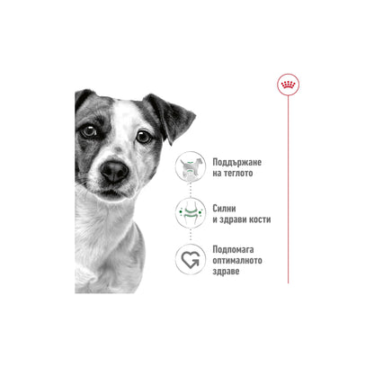 Royal Canin Mini Adult Loaf- Mousse - мус за кучета в зряла възраст от дребни породи (тегло до 10кг) - от 10 месеца до 8 години 195 гр.