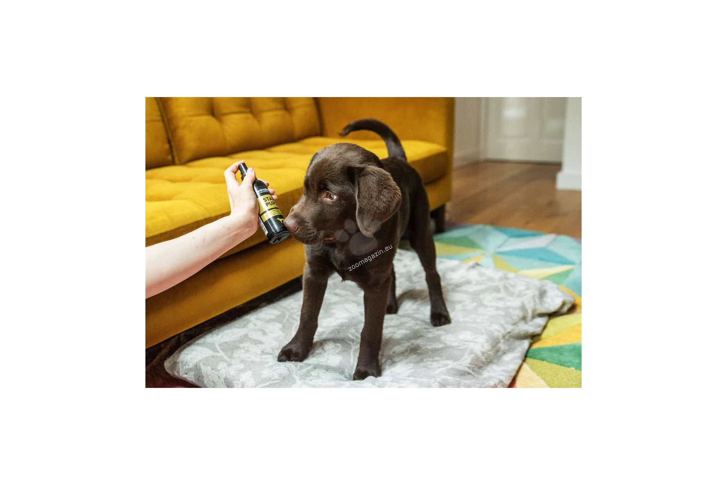 Animology Star Pups Body Mist - дълготраен спрей с аромат на ший и ванилия 150 мл.