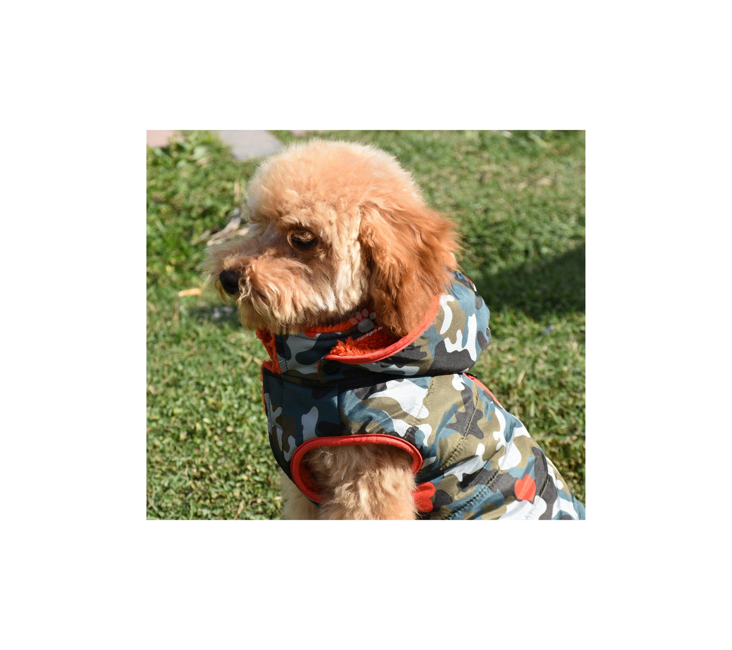 Nayeco Army Jacket - яке за куче