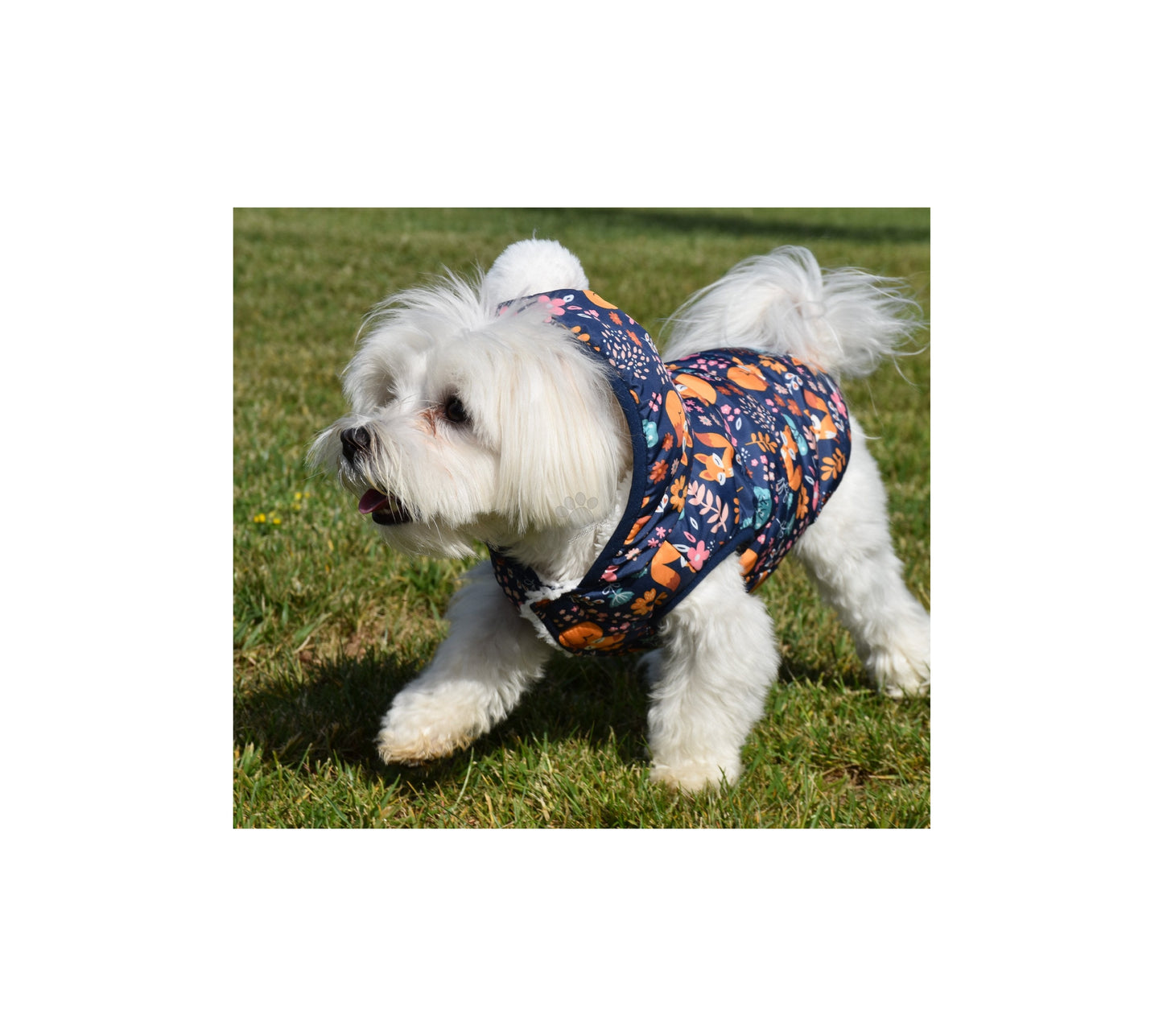 Nayeco Fox Jacket - яке за куче