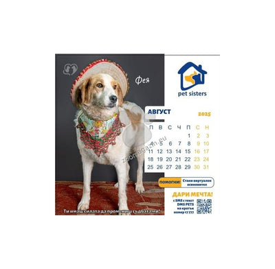 Pet Sisters - дарителски календар за 2025 година