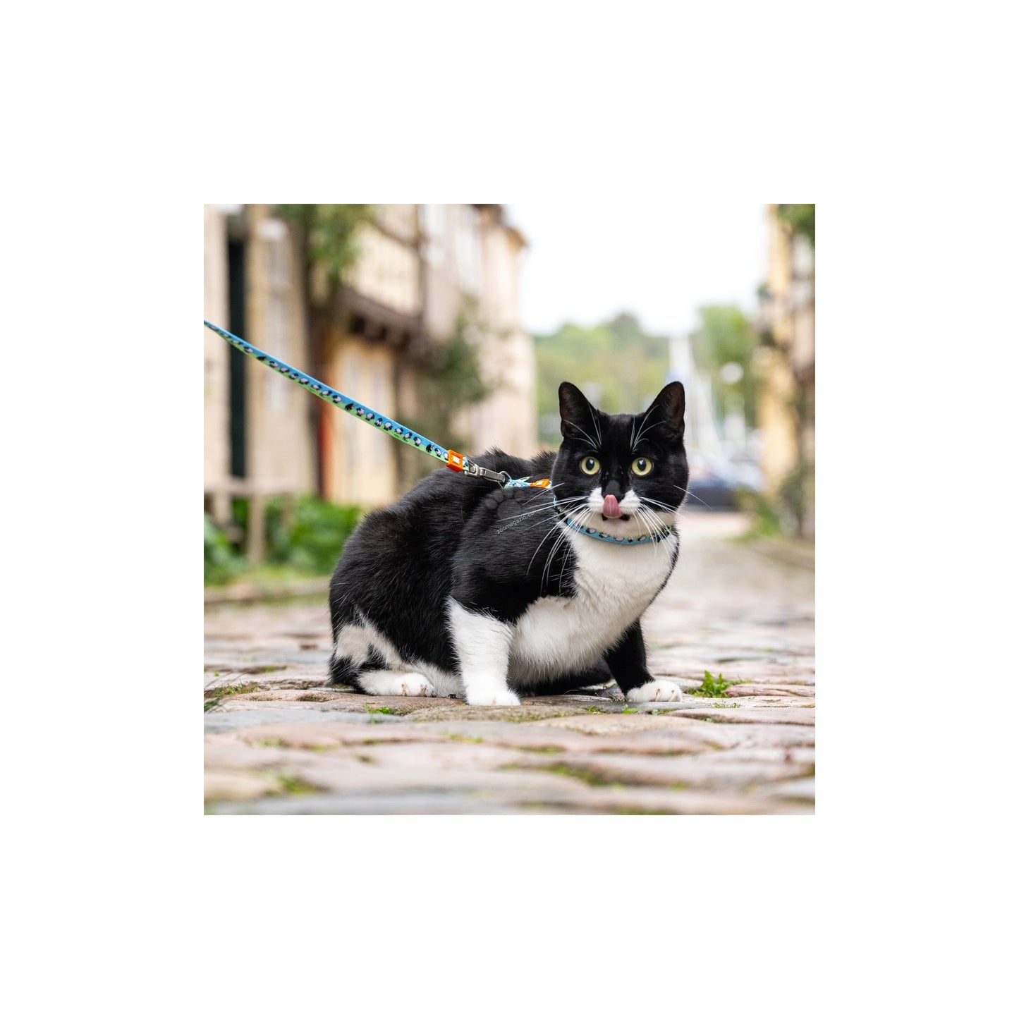 Max Molly Black Sheep Cat Harness Set - нагръдник с повод за котка с обиколка на врата 21,5-33 см. и обиколка на тялото 27-44 см.