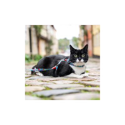 Max Molly Little Monster Cat Harness Set - нагръдник с повод за котка с обиколка на врата 21,5-33 см. и обиколка на тялото 27-44 см.