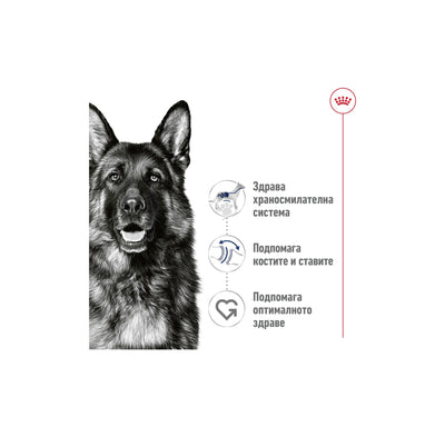 Royal Canin Maxi Adult Digestive Health - консерва за кучета в зряла възраст от едри породи (от 26 до 44кг)- от 15 месеца до 5 години 410 гр.