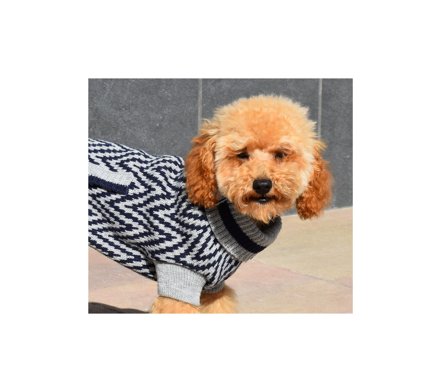 Nayeco Birmingham Knitted Sweater - пуловер за кучета