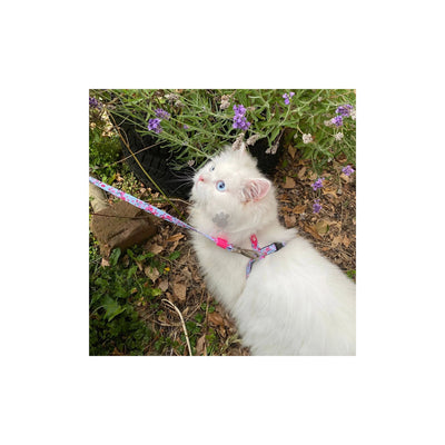 Max Molly Cat Harness / Leash Set Cherry Bloom 1 Size - нагръдник с повод за котка с обиколка на врата 21,5-33 см и обиколка на тялото 27-44 см