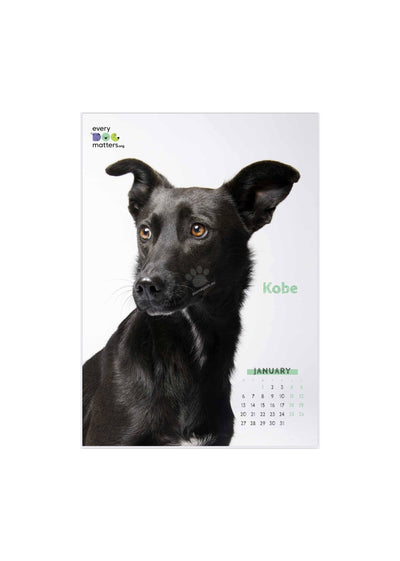 Every Dog Matters - дарителски календар за 2025 година