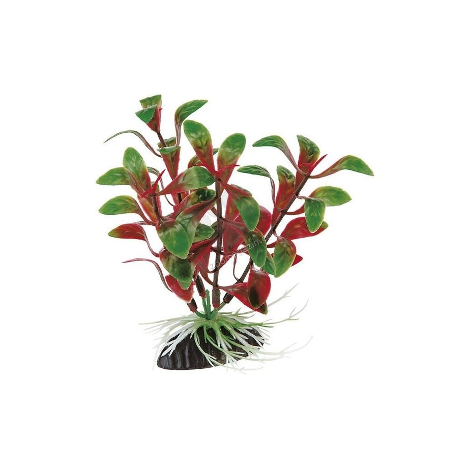 Ferplast - пластмасово растение