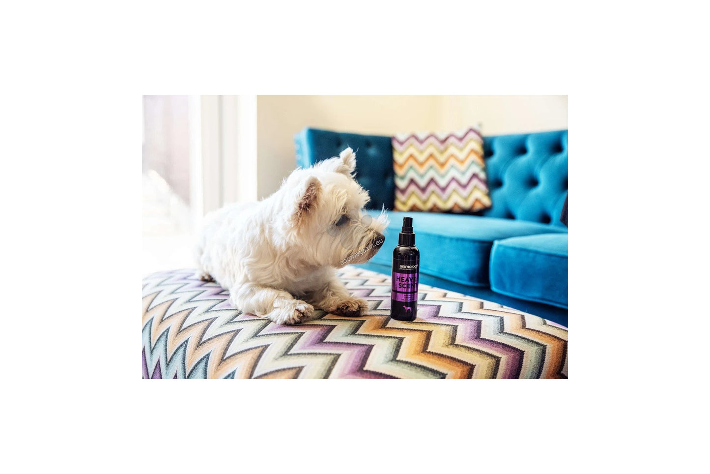 Animology Heaven Scent - дълготраен спрей с аромат на нероли и божур 150 мл.