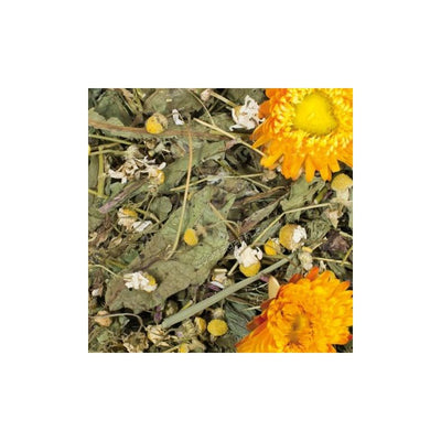 JR Farm Grainless - беззърнена допълваща храна за гризачи 100 гр