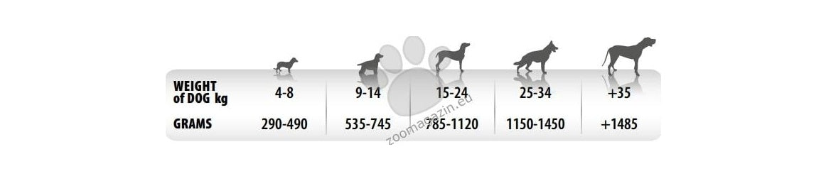 Monge Monoprotein Pate Pork - консерва за кучета в зряла възраст със свинско месо 400 гр