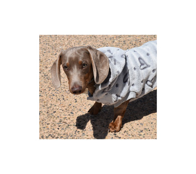 Nayeco Amour Hoodie - суитшърт за кучета (сив)