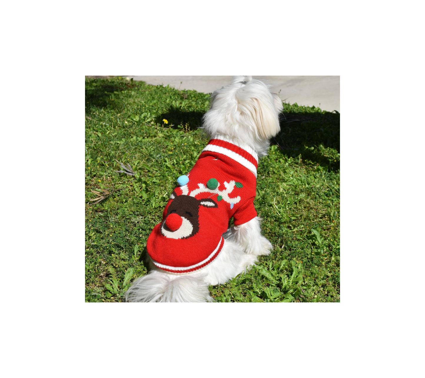 Nayeco Rudolf Knitted Sweater - пуловер за кучета