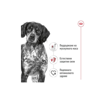 РАЗПРОДАЖБА Royal Canin Medium Adult Muscle Mass Support - консерва за кучета в зряла възраст от средни породи (от 11 до 25кг) - oт 12 месеца до 7 години 410 гр.