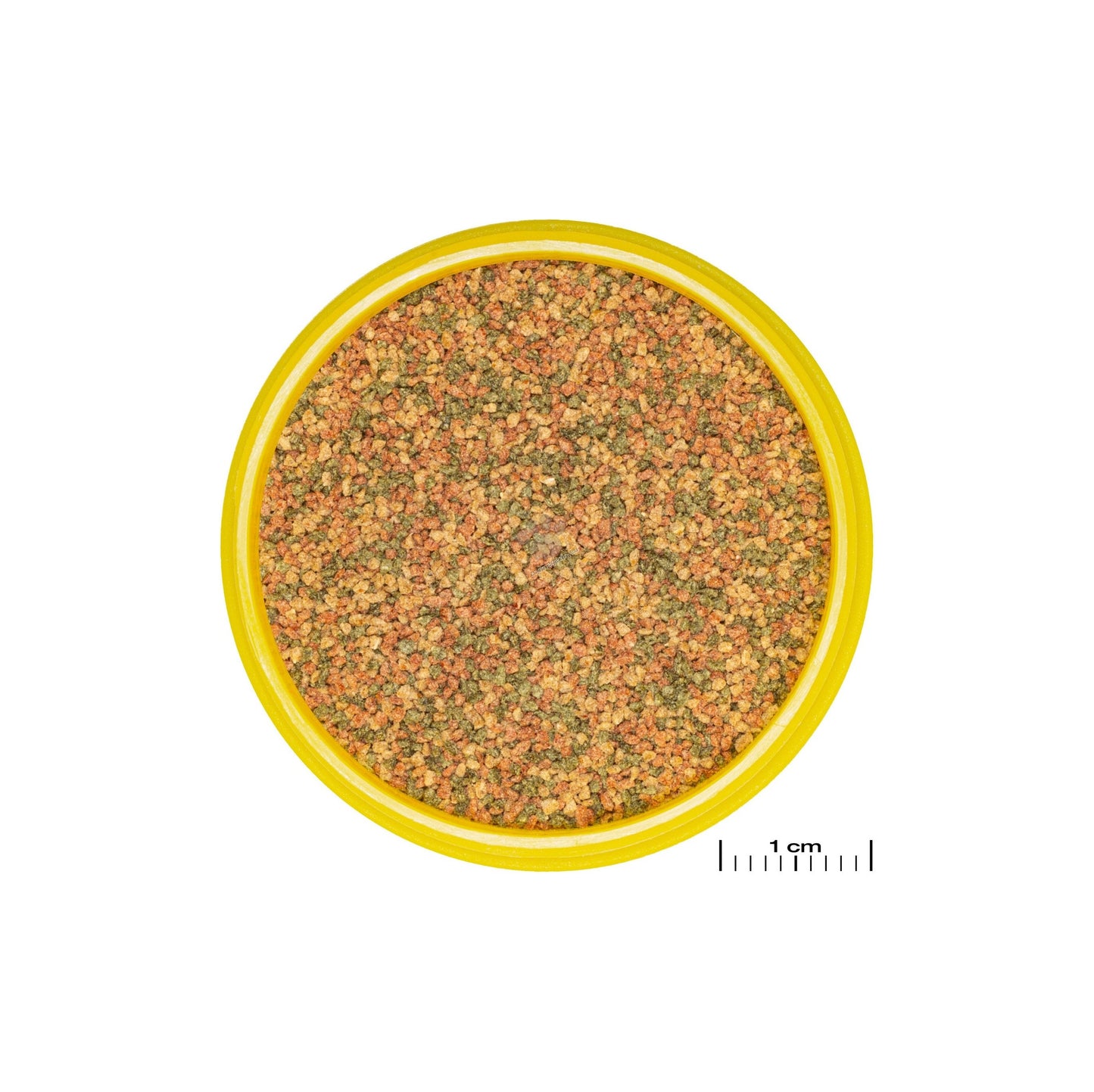 JBL ProNovo Bel Grano XS - основна храна на гранули за всички аквариумни рибки 20 мл