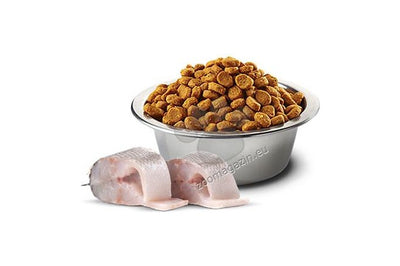 N&D White Dog Sea Bass, Spirulina and Fennel Adult Mini – монопротеинова суха храна за кучета с бяла козина от мини породи с лаврак, спирулина и фенел 2 кг