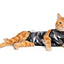 Suitical Recovery Suit XXSmall Cat Black - медицинска дрешка за котки с дължина на гърба 33-42 см.