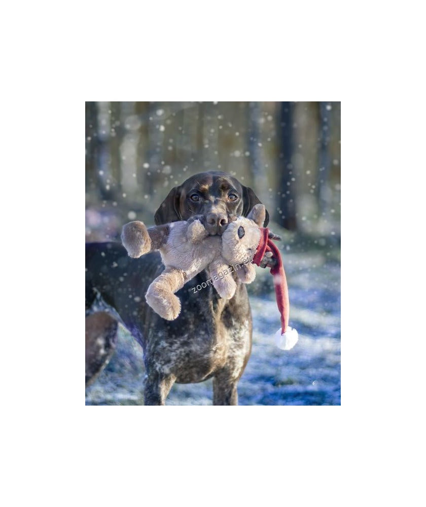 Rosewood Brad Bear - играчка за кучета