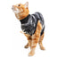 Suitical Recovery Suit Small Cat Black - медицинска дрешка за котки с дължина на гърба 43-51 см