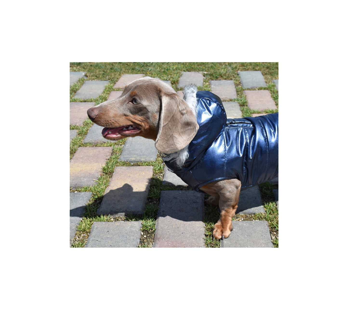 Nayeco Planet Jacket - яке за куче (синьо)