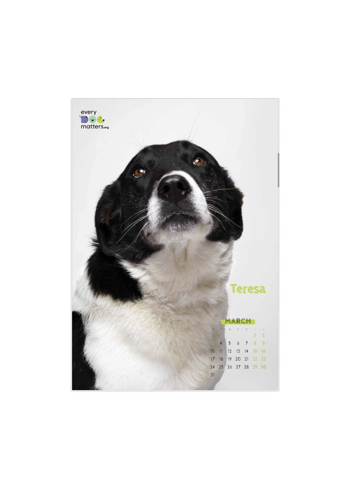 Every Dog Matters - дарителски календар за 2025 година