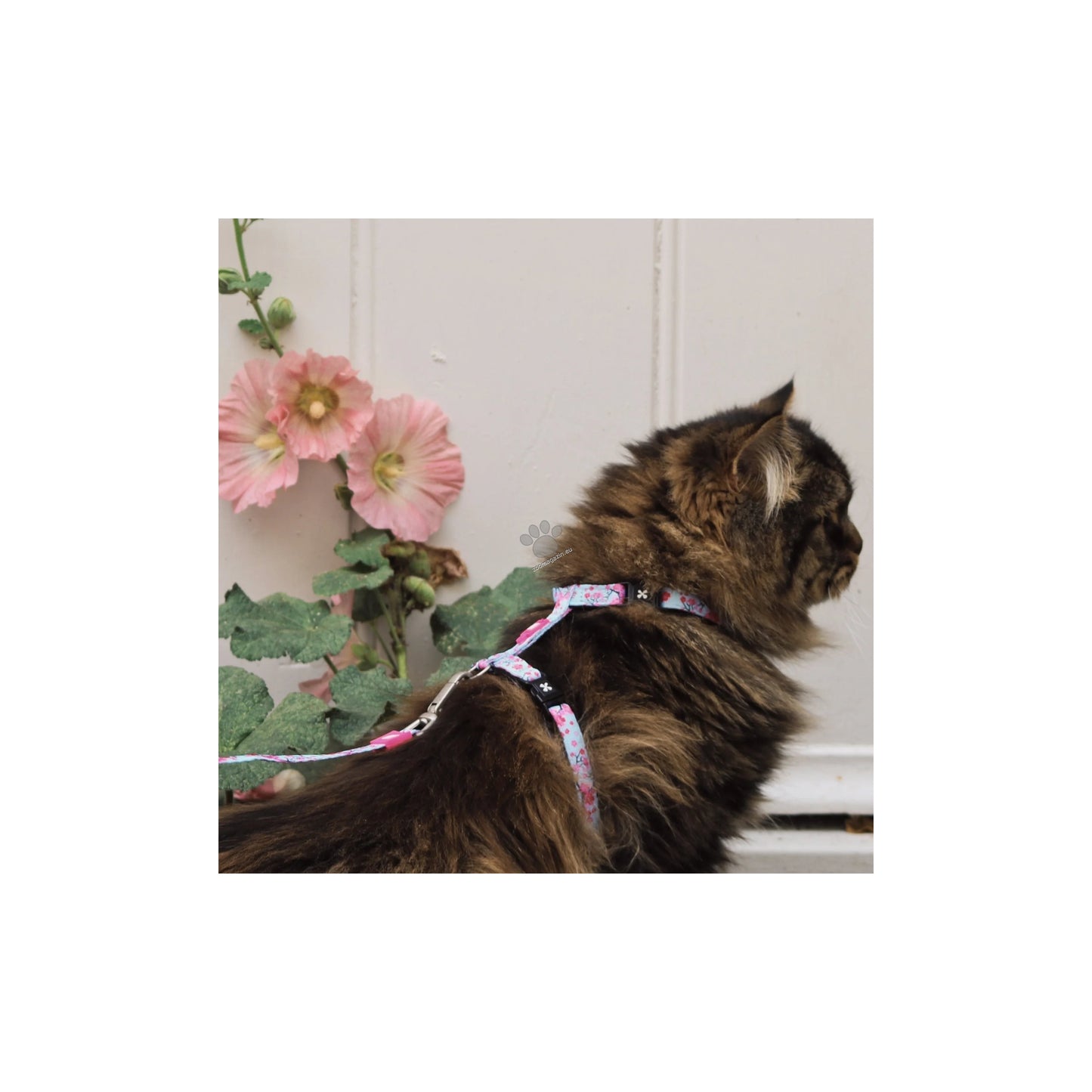 Max Molly Cat Harness / Leash Set Cherry Bloom 1 Size - нагръдник с повод за котка с обиколка на врата 21,5-33 см и обиколка на тялото 27-44 см