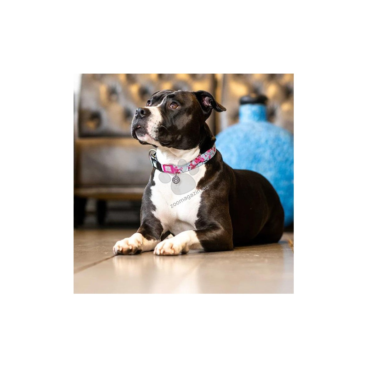 Max Molly Smart ID Cherry Bloom - нашийник с ID чип за сигурност