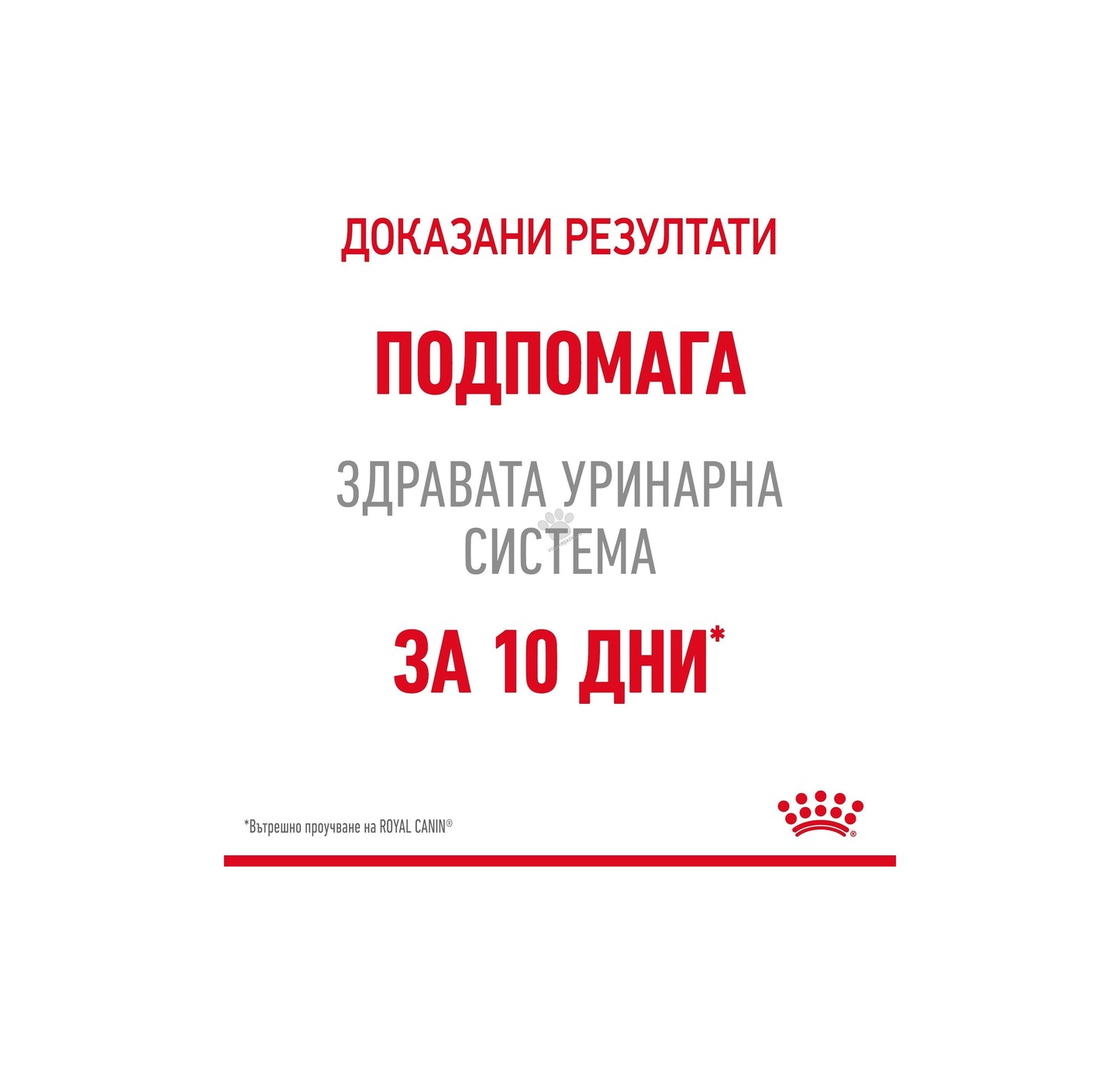 Royal Canin Urinary Care in Jelly - пълноценна храна за профилактика на пикочните пътища 85 гр.