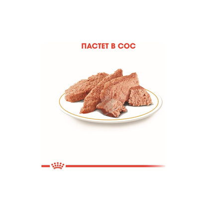 ROYAL CANIN POODLE POUCH - wet dog food for adult and mature Poodles over 10 months old, 85g