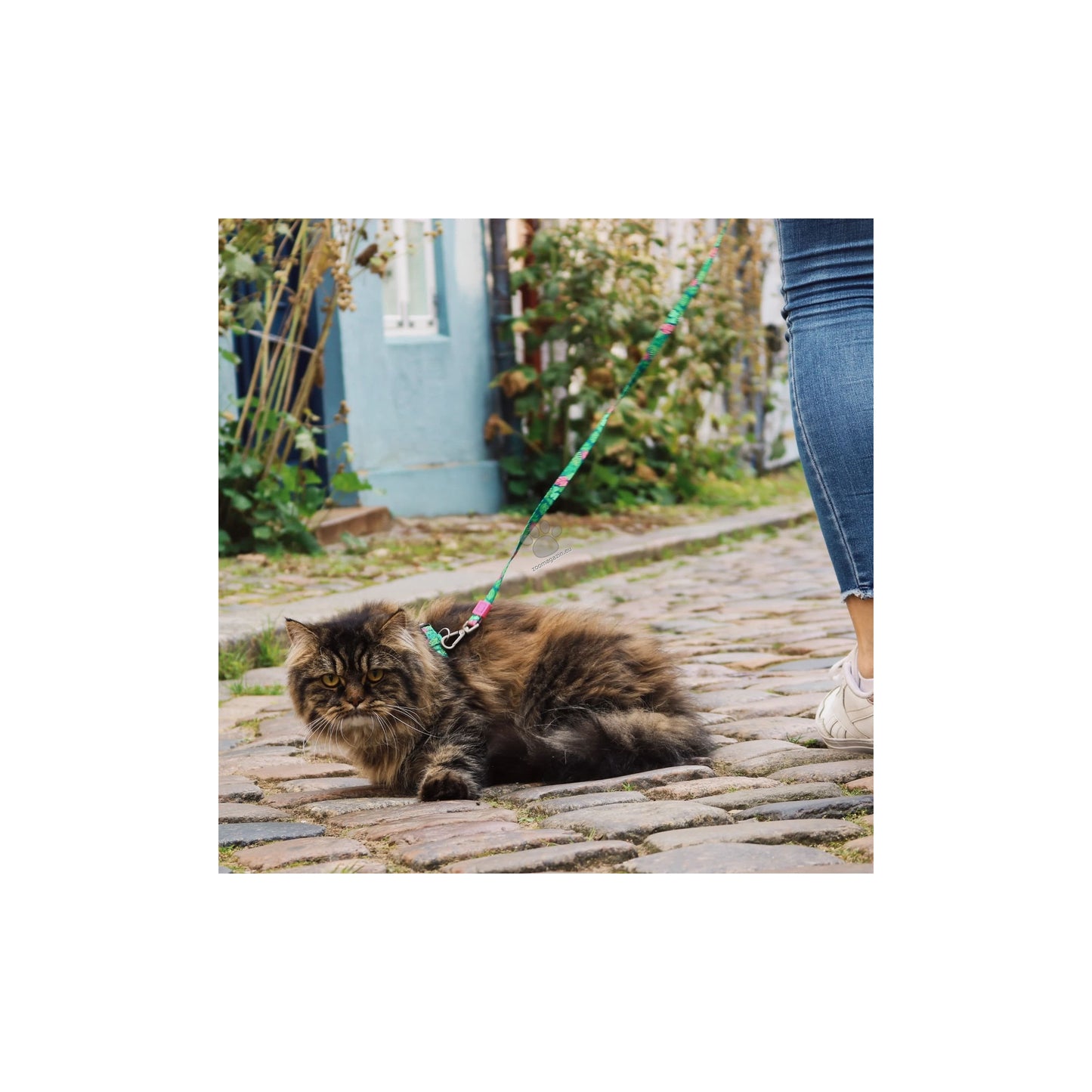 Max Molly Cat Harness / Leash Set Tropical 1 Size - нагръдник с повод за котка с обиколка на врата 21,5-33 см и обиколка на тялото 27-44 см