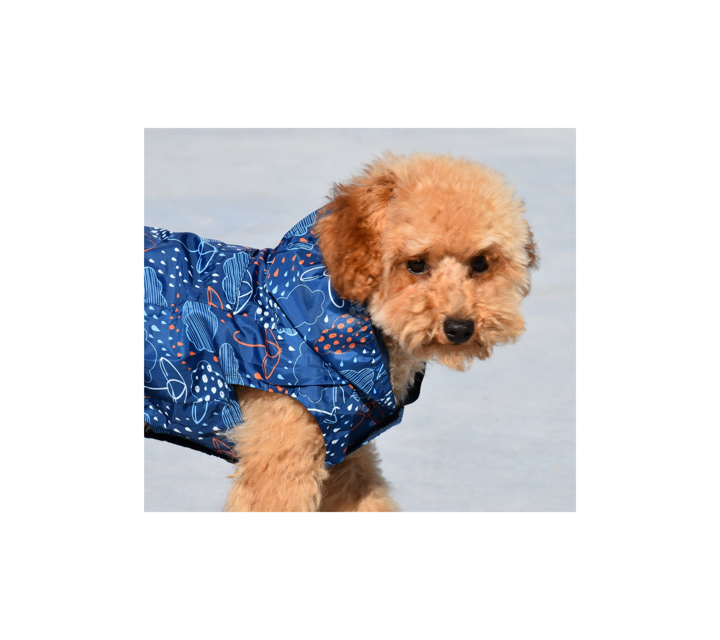 Nayeco Reversible Raincoat Blue Umbrella - двулицев дъждобран за куче