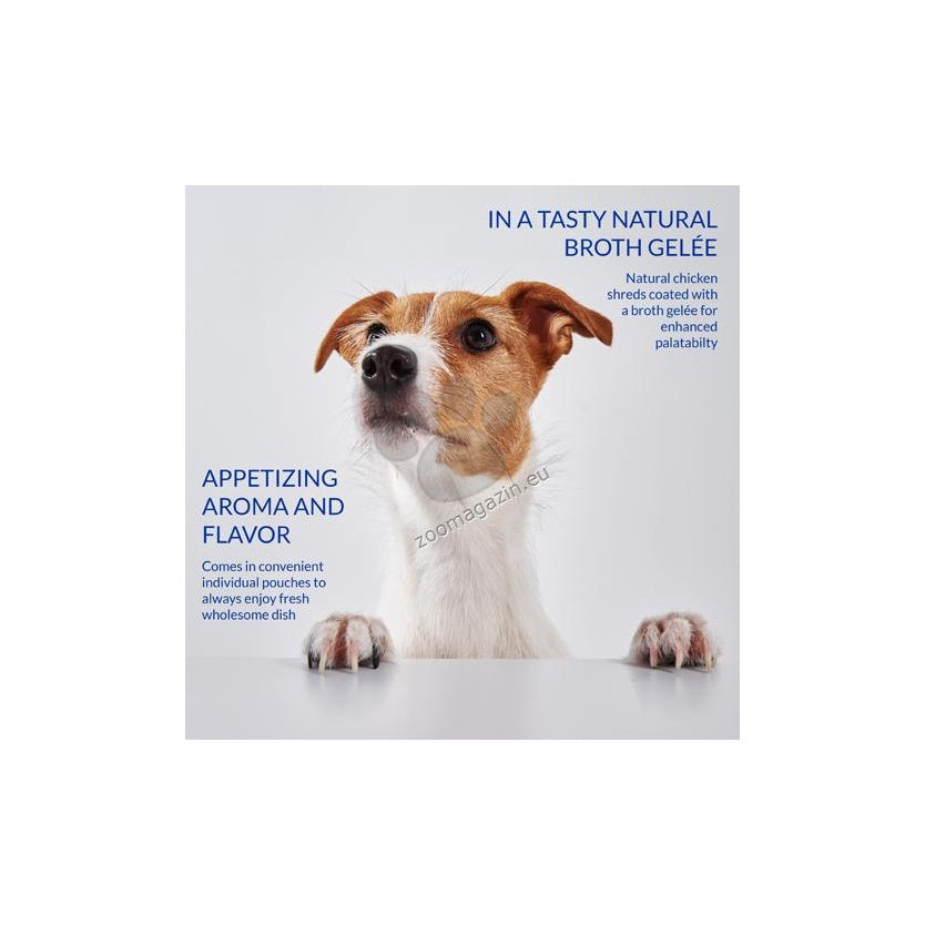 Inaba Chicken with Vegetables and Beef Recipe in Chicken Broth – пауч с пилешко и говеждо 2 x 40 гр