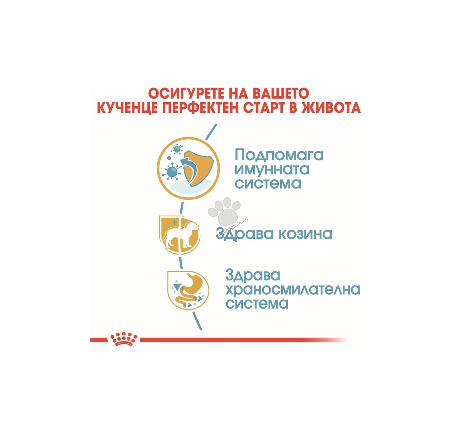 Royal Canin Poodle Puupy - пълноценна храна за подрастващи кучета порода пудел до 10 месеца