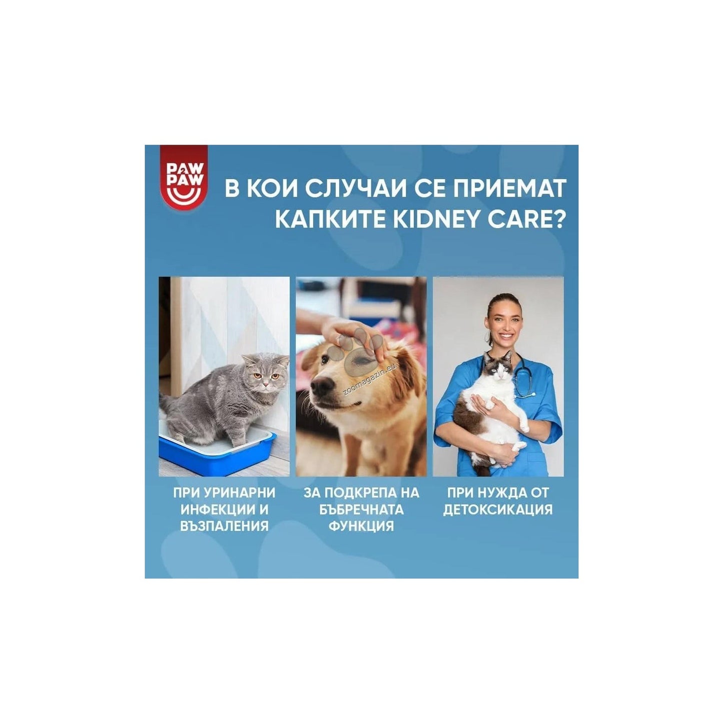 РАЗПРОДАЖБА Paw2Paw Urinary Care Drops - билкови капки за бъбреците и пикочните пътища 50 мл