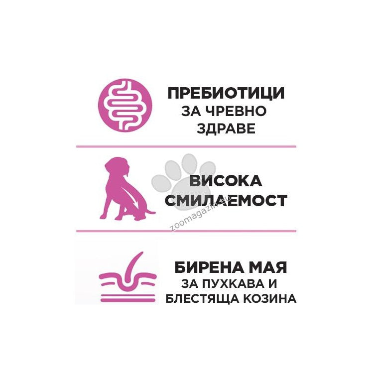 Gemon Dog Adult Pork and Rice - суха храна за кучета със свинско месо и ориз 15 кг