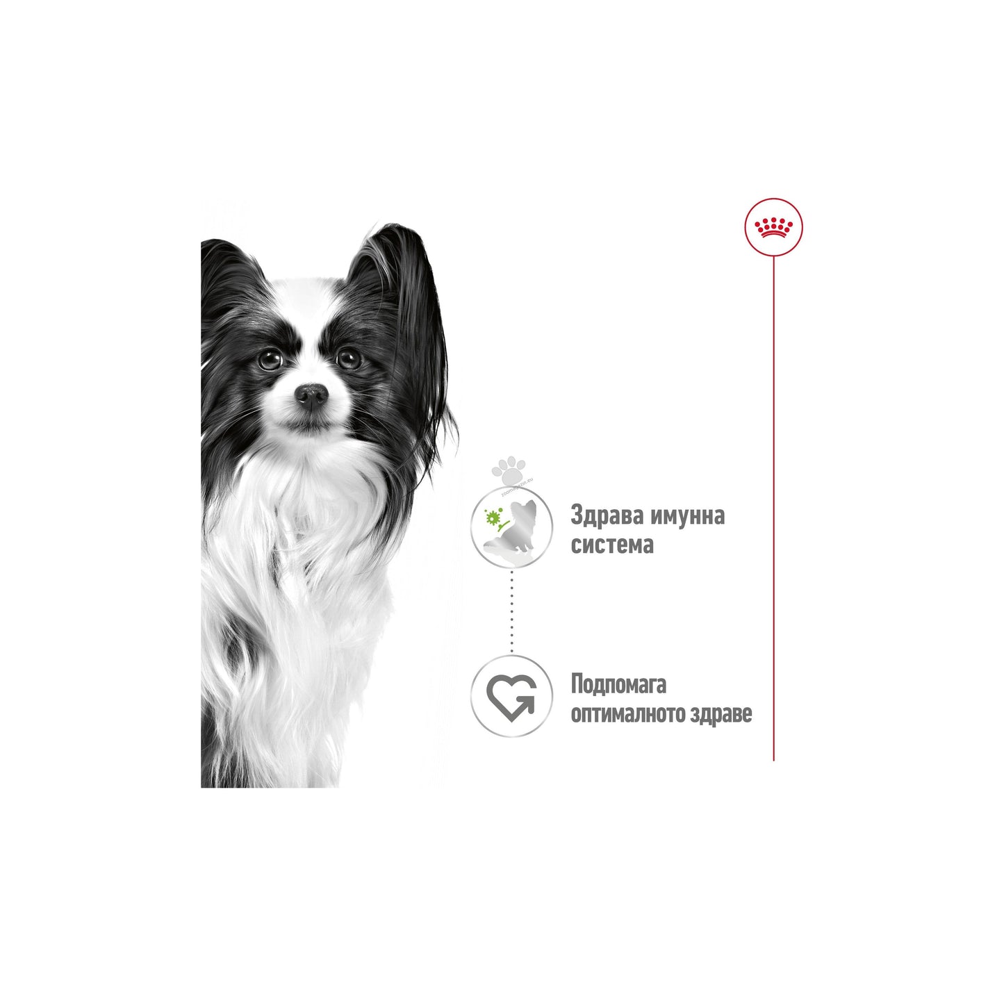 Royal Canin Adult X Small Pouch Gravy Sauce - пауч за кучета в зряла възраст от много дребни породи (тегло в зряла възраст до 4кг) от 10 месеца до 8 години 85 гр.