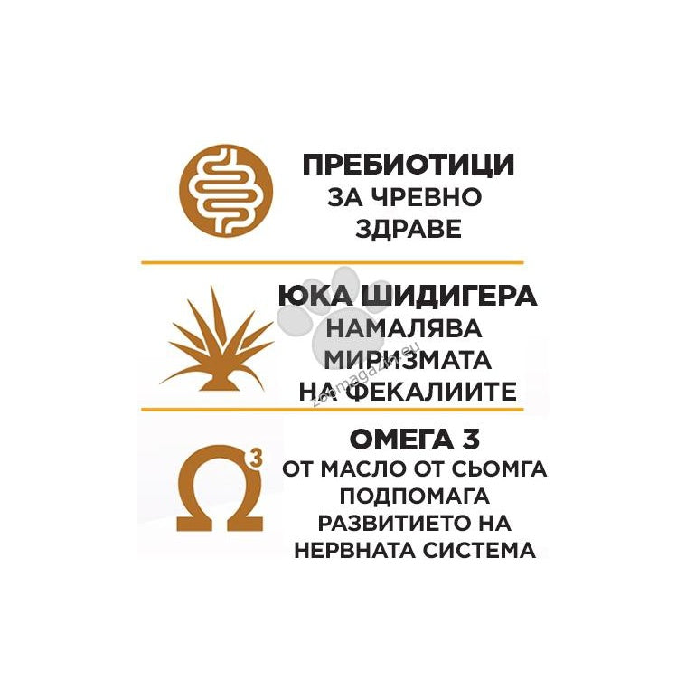 Gemon Kitten with Chicken and Rice - суха храна за котенца с пилешко месо и ориз 7 кг