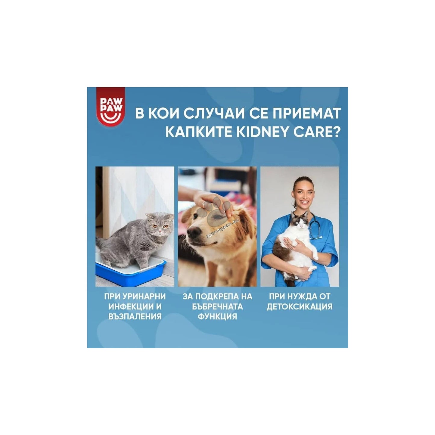 Paw2Paw Urinary Care Drops - билкови капки за бъбреците и пикочните пътища 50 мл